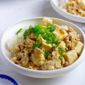 Dairy free gluten free non spicy mapo tofu recipe