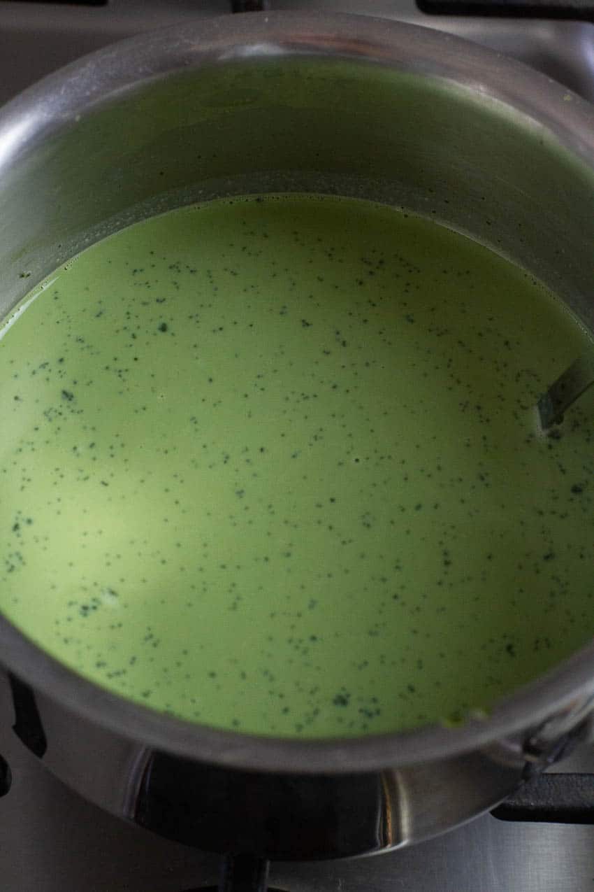 Easy Matcha Pudding (4 Ingredients) Plates by Nat