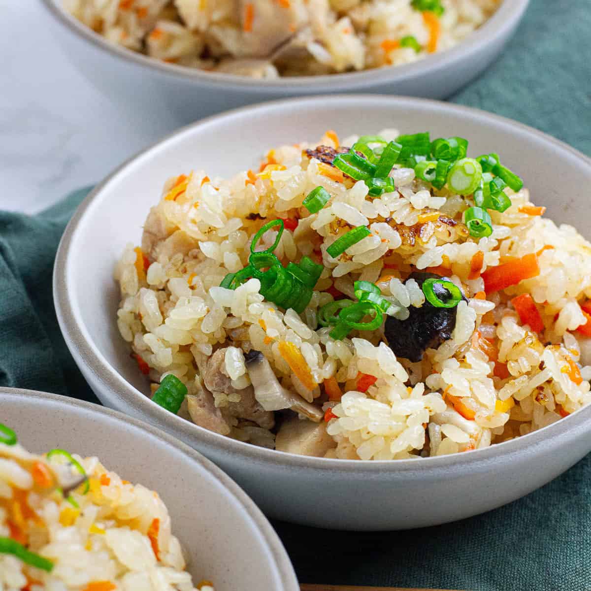 Japanese Rice Cook Japanese Rice Cooker Chicken Rice - Plates by Nat