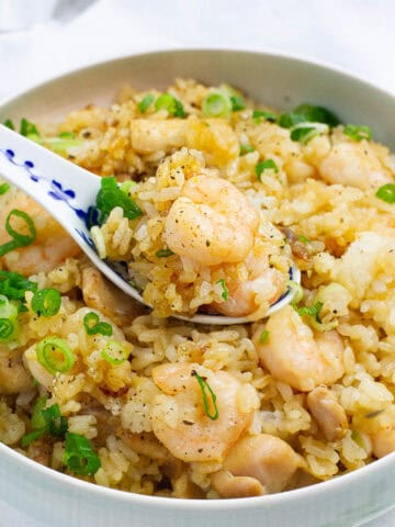 Close up shot of shrimp chicken fried rice.