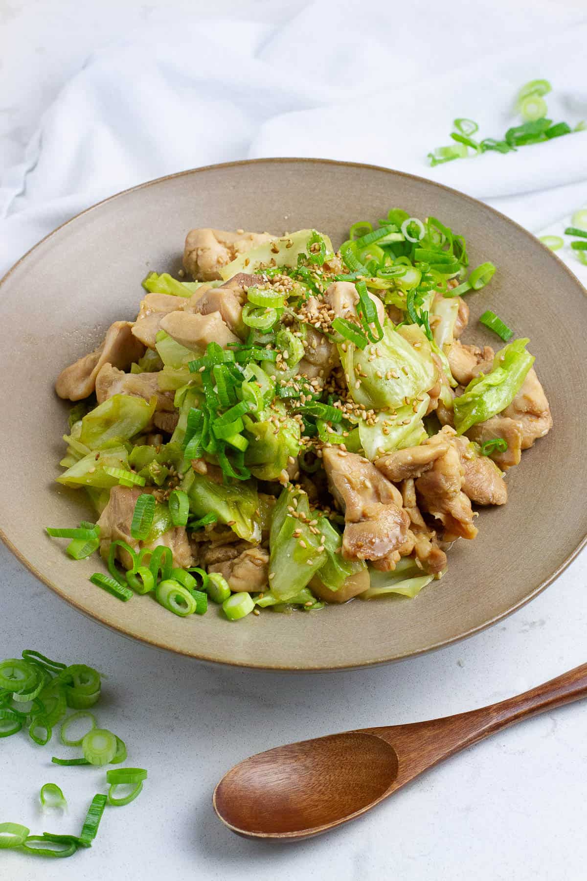 Chicken and cabbage stir fry in a bowl.