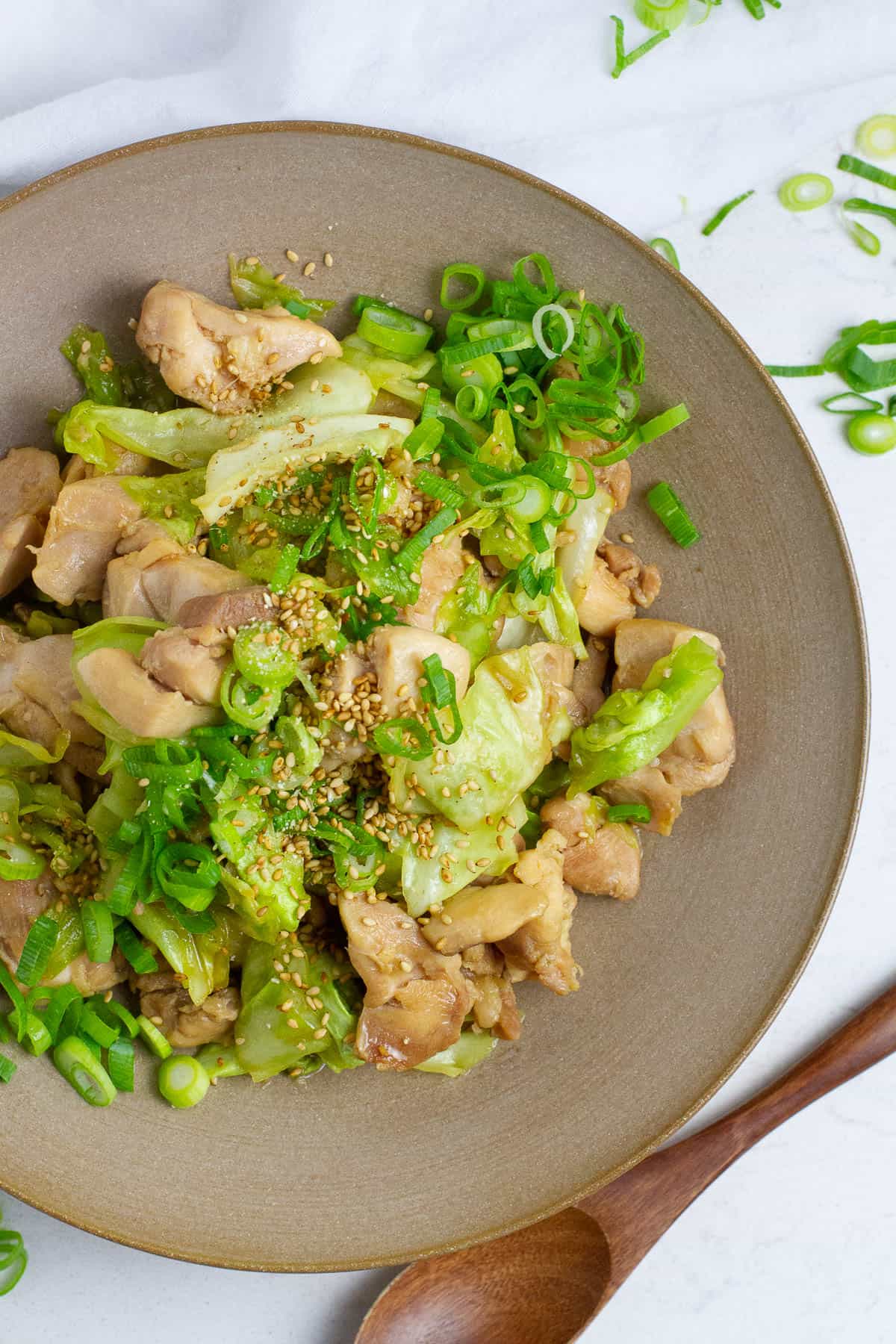 Top view of chicken and cabbage stir fry.