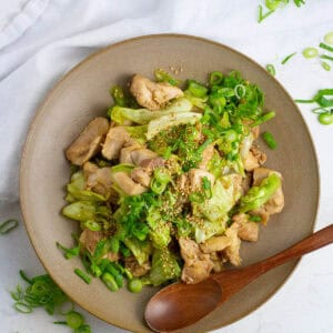 Top view of chicken and cabbage stir fry.