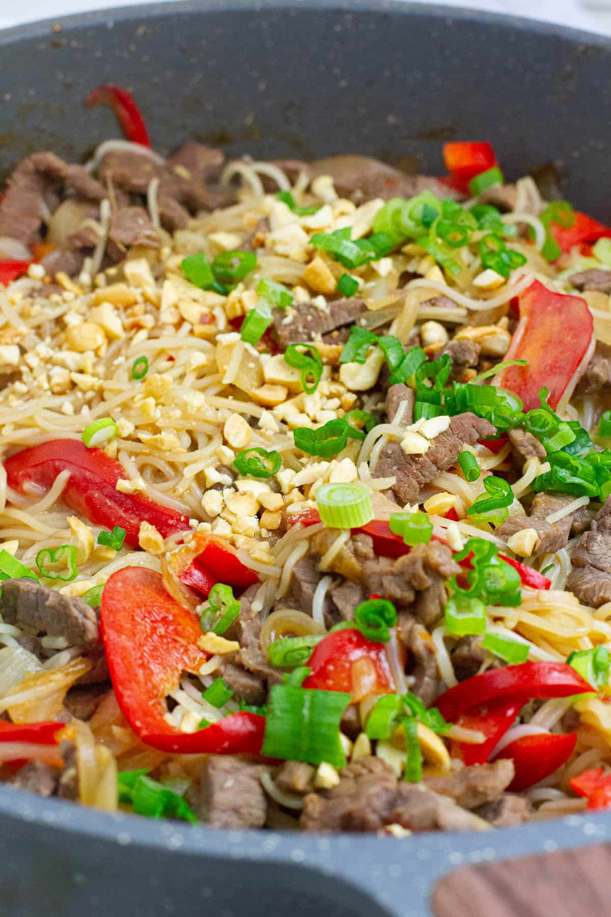 Close up shot of beef satay noodles.