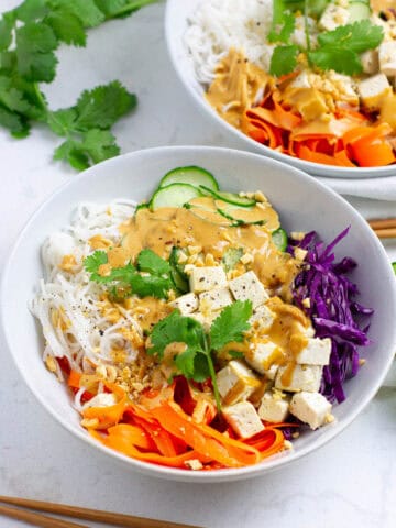 Two bowls of spring roll bowls.