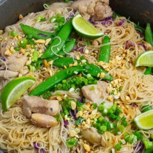 Close up shot of stay chicken noodles.